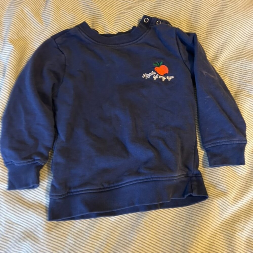 🍎 Hanna Andersson “Apple of My Eye” Sweatshirt – Size 3T 🍎